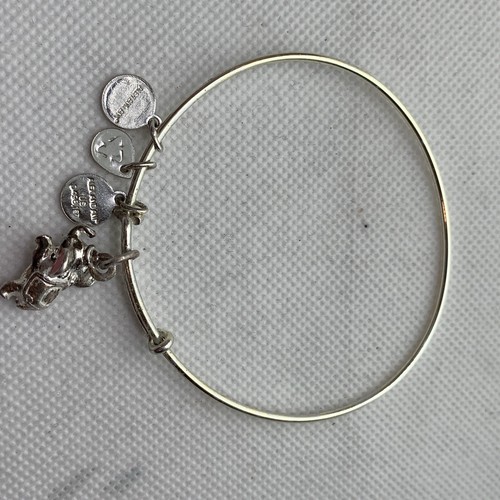 Alex and ani disney charm - ani ,