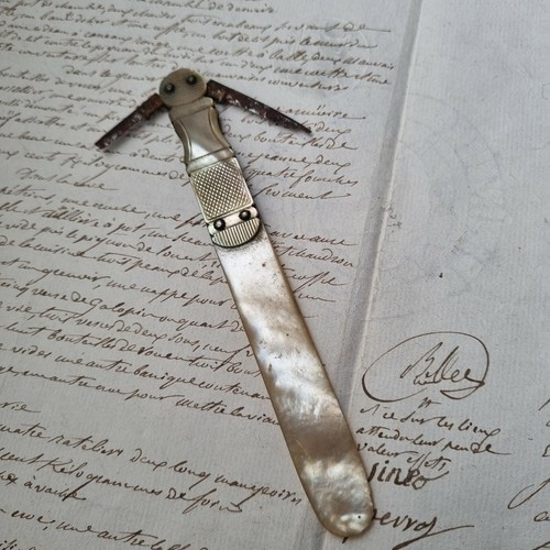 Taille plume nacre - plume, fin