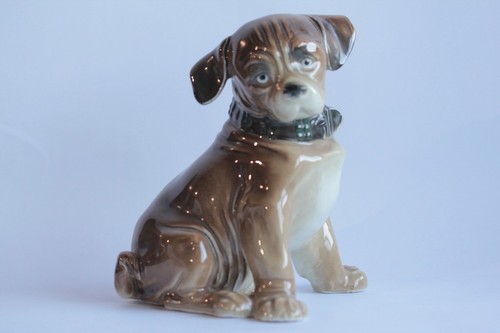 Jeune chien porcelaine - , karl
