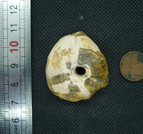 36mm perle oursin - perle,