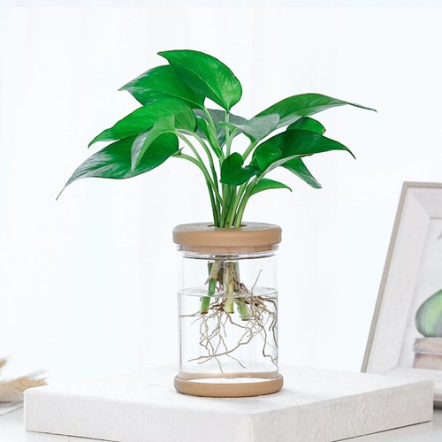2pcs plastique transparent - 2pcs,