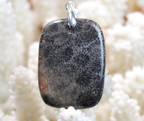 Corail fossile carats - 46,