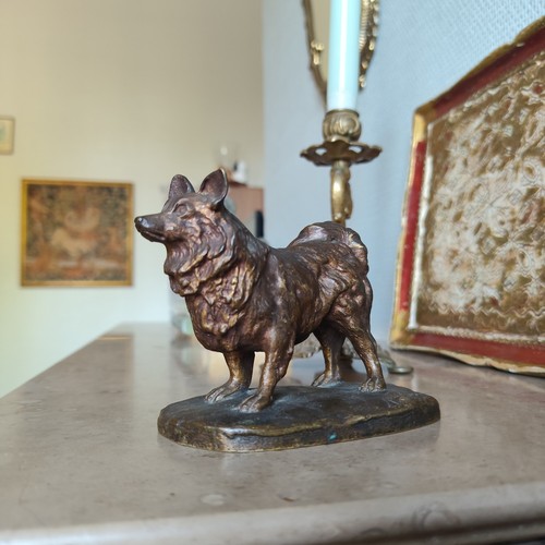 Chien bronze signe albert - chien,