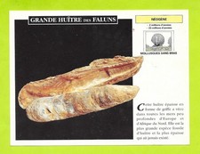 Fiche Edito service S.A. -