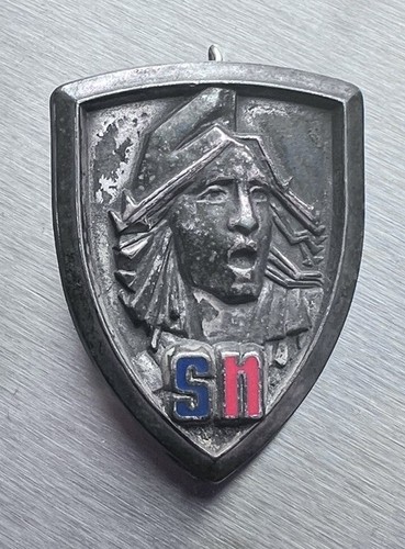 Original militaire insigne - original,