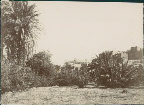 Algérie arba tahtani - arba,