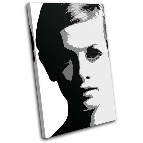 Twiggy model iconic - model,
