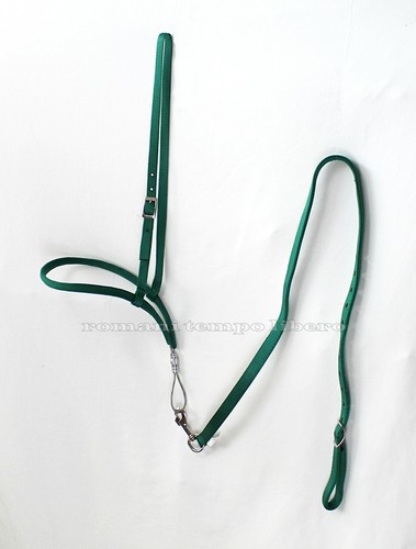 Muserolle nylon avec anima - avec,