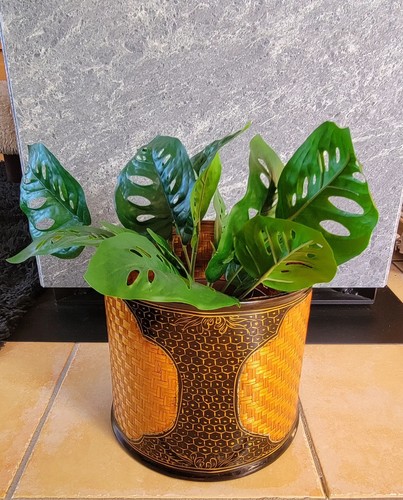 Joli cache pot - joli,