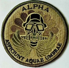 TISSU PARACHUTISTE / 13° RDP