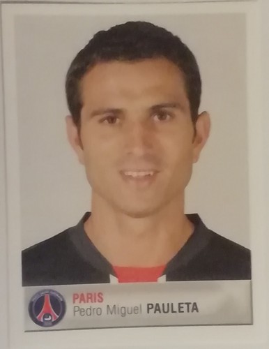 Panini france foot - france,
