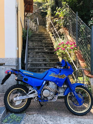Honda dominator 650 - honda, rd02