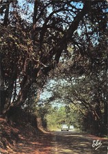 17 L ILE D OLERON LA PLAGE DE VERT BOIS