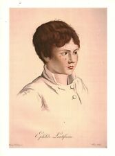 Cabinet de curiosité planche