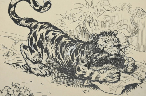 Piège tigre - (2, 3)
