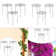 3x pivoine Support Cage métal