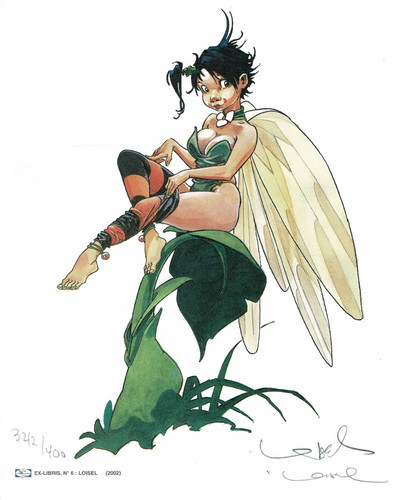 Libris loisel peter pan - loisel,