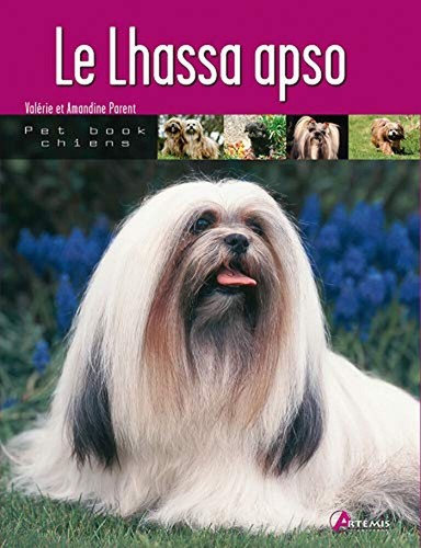 Lhassa apso parent - lhassa, valérie