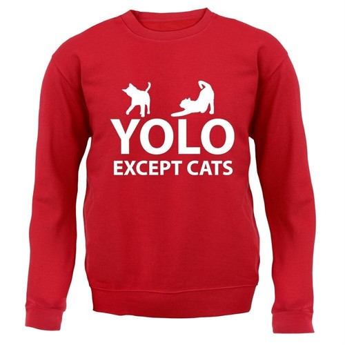 Yolo sauf chats adulte - chats,