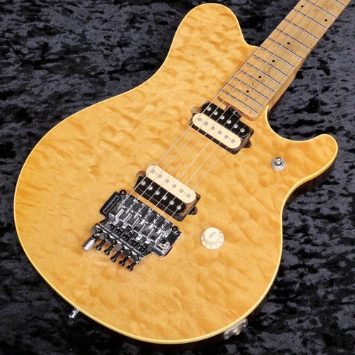 étui rigide pour guitare - Étui,