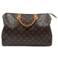 Louis Vuitton Sac à main