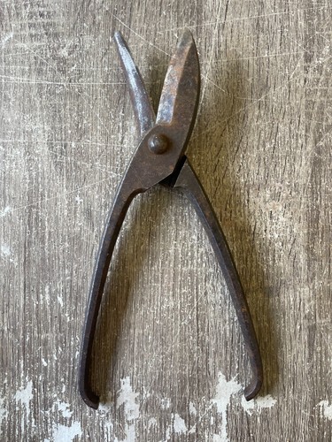 Ancienne cisaille pince