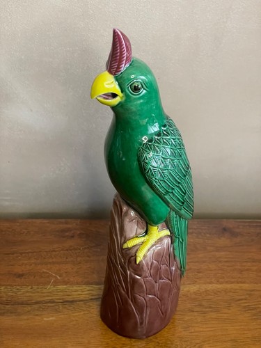 Superbe perroquet en - perroquet,