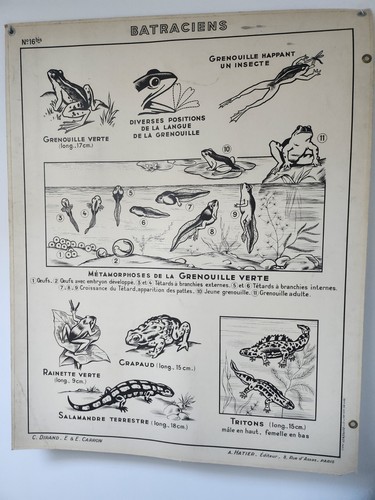 Ancienne affiche