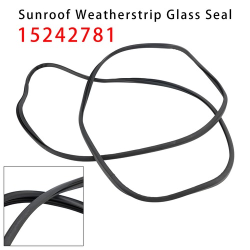 Sunroof weatherstrip glass - sunroof,