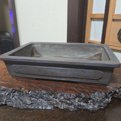 Pot bonsaï japonais - bonsaï,