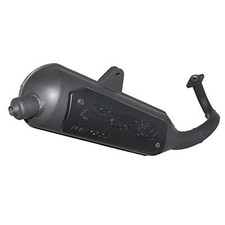 POT SCOOT MALOSSI WILD LION