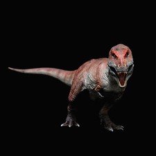 REBOR Tyrannosaurus Rex TUSK