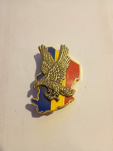 Insigne pucelle vintage - insigne,