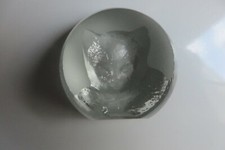 Presse Papier Cristal  Tête