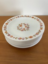 Lot De 9 Assiettes A Dessert ARCOPAL SCANIA orange vintage années 70's