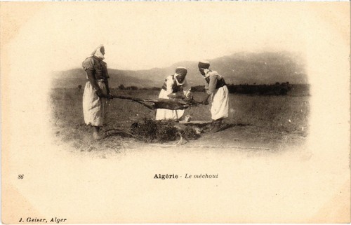 Cpa algeria geiser 86 - cpa,