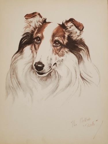 Diana thorne dogs - diana,