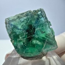 Cube de fluorite fantôme transparente parquetée, vert Okorusu, Namibie