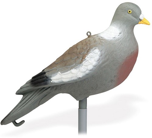 Pack appelants pigeon - pack, posé