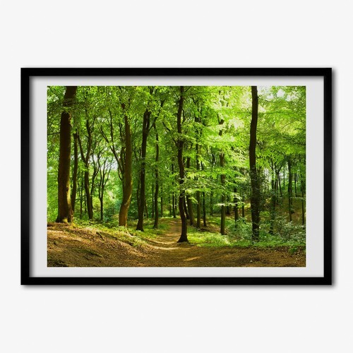 Tulup photo 70x50cm mdf - tulup, cadre