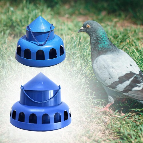 Mangeoire pigeons avec - mangeoire, à