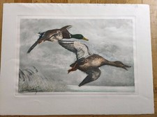 Gravure  Signé Léon Danchin