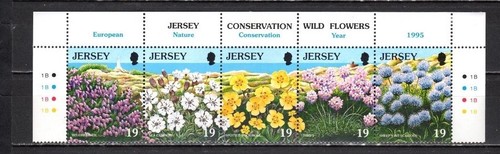 Jersey unused block mh og - jersey,