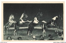 ASKP8-0475-CIRQUE - Une exclusivite RADIO-CIRCUS - LA PYRAMIDE A QUATRE CHEVAU