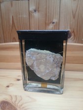 cabinet de curiosité