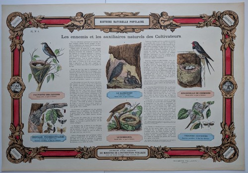 Histoire naturelle populaire - naturelle,