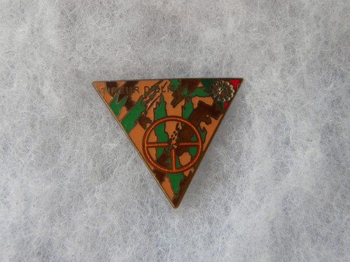 Insigne regiment etranger - 2°,