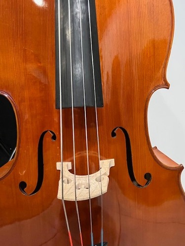 Violoncelle neuf gamme - 7/8,
