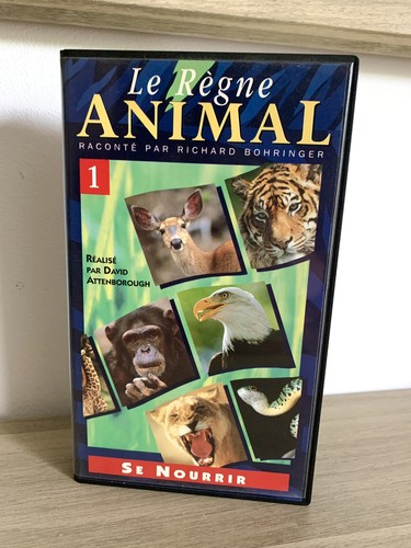 Vhs règne animal - règne,