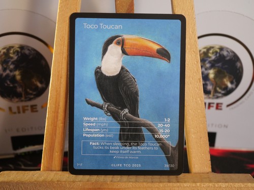 Life tcg birds - life,